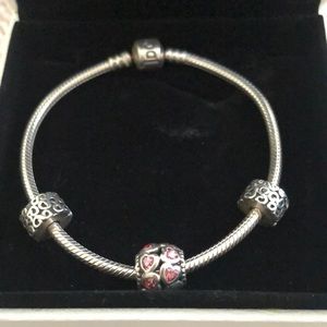 Pandora moments snake chain bracelet